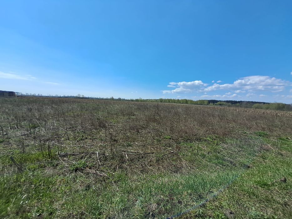 Продаж земельної ділянки під будівництво , Гавронщина-Марʼянівка , Макарівського району