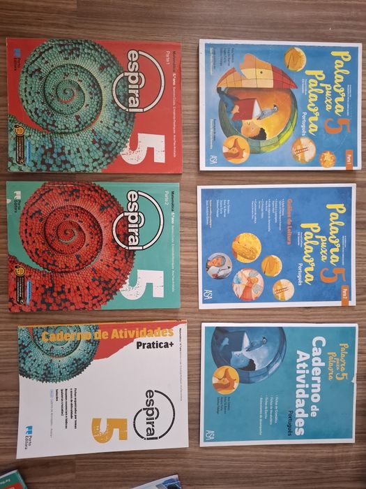 Manuais e cadernos escolares 5 Ano em bom estado