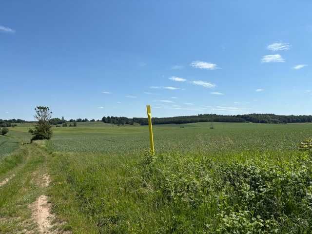 działki budowlane koło Kętrzyna / Pręgowo 50 arów z WZ - Widok 5