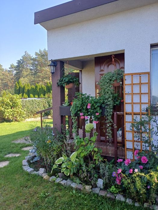 Sprzedam działkę  ROD