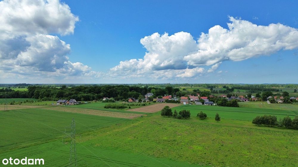 Działki z WZ w Nowych Bielicach 90 zł/ m² - Widok 4