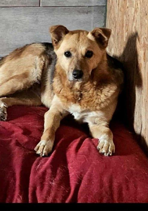 Luka i Diego szukamy cudu ale próbujemy