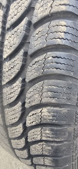 Opona zimowa Dębica Frigo 195/65 R15
