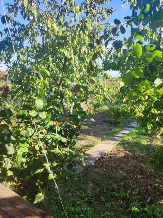 (13) Продам будинок. с.Барабой.