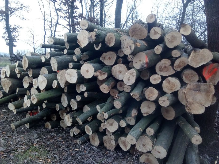 drewno drzewo  kominkowe, ozdoby ogrodowe