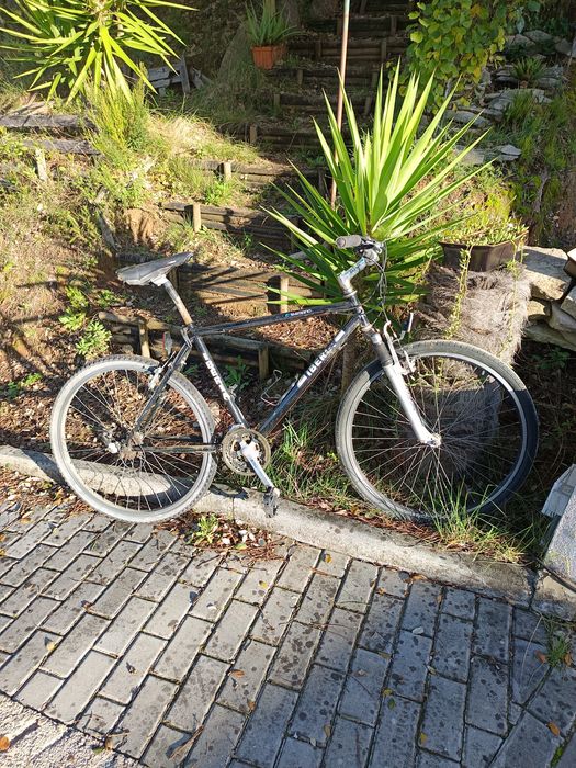 Várias bicicletas432571498795509761
