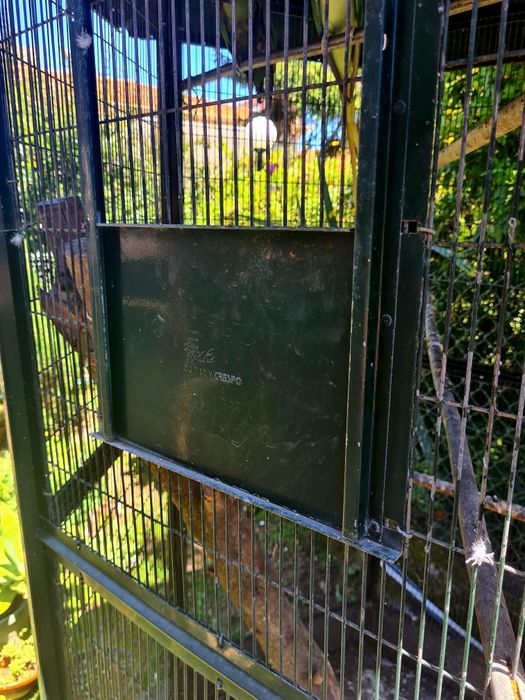 Vendo Gaiola Pássaros