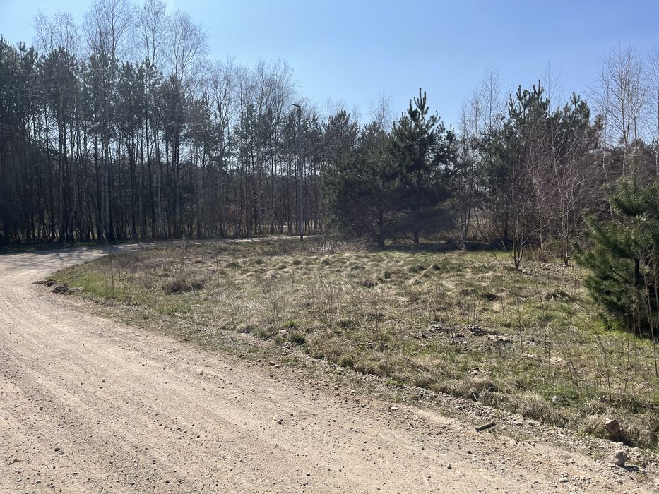 Działka budowlana Kotwasice przy lesie
