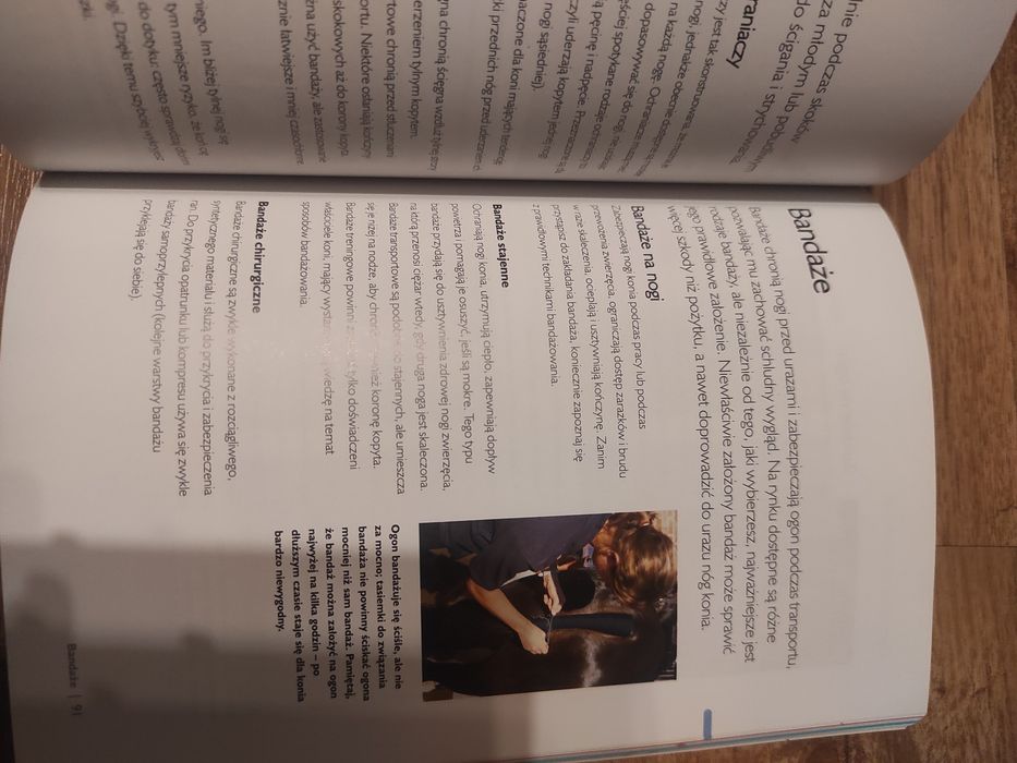 Jak dbać o konie i kuce