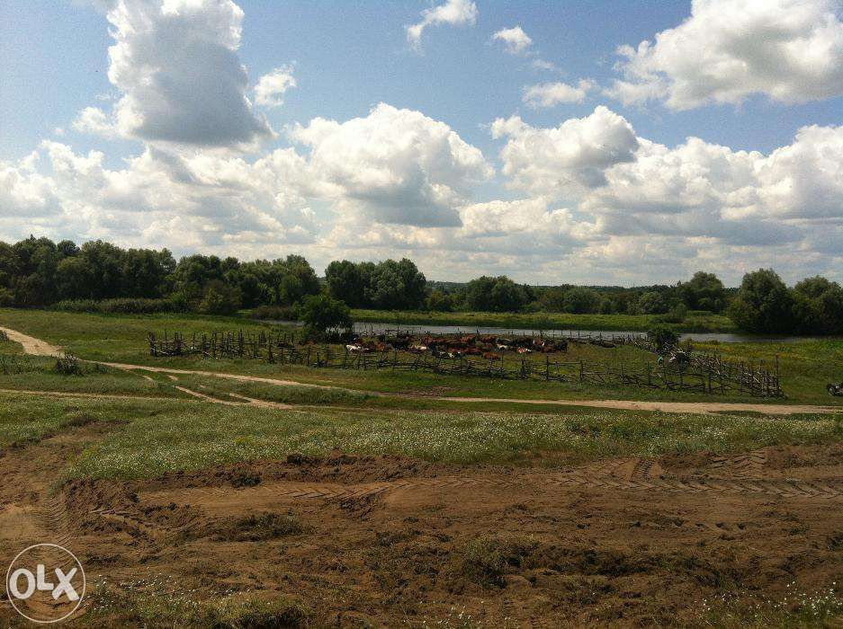 Домик для семьи 3, 4 чел.)