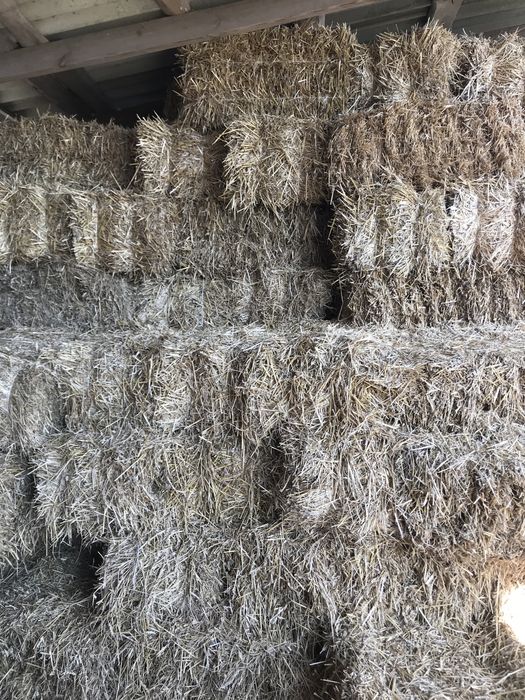 Продам сіно, солома в тюках.