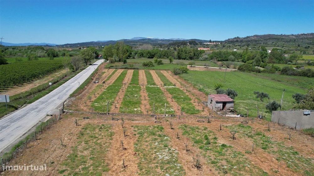 Terreno — Capinha, Castelo Branco