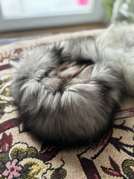 czapka toczek naturalny lis