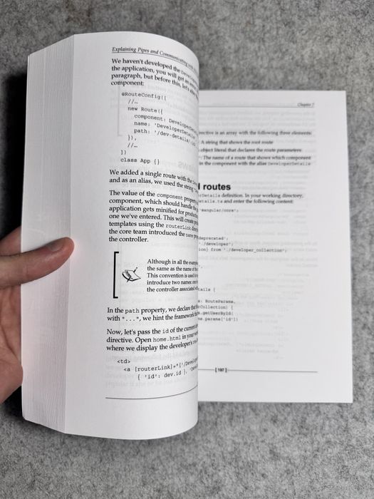 Switching to Angular 2 NOWA