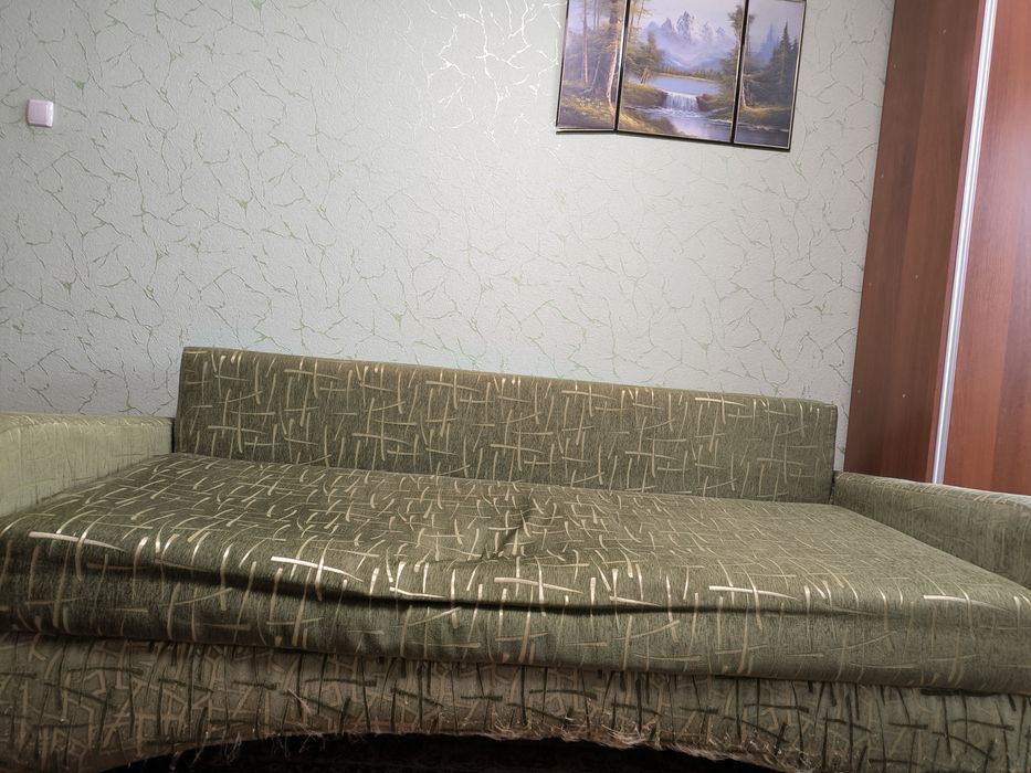 Диван розкладний з пружинним механізмом і деревʼяним каркасом