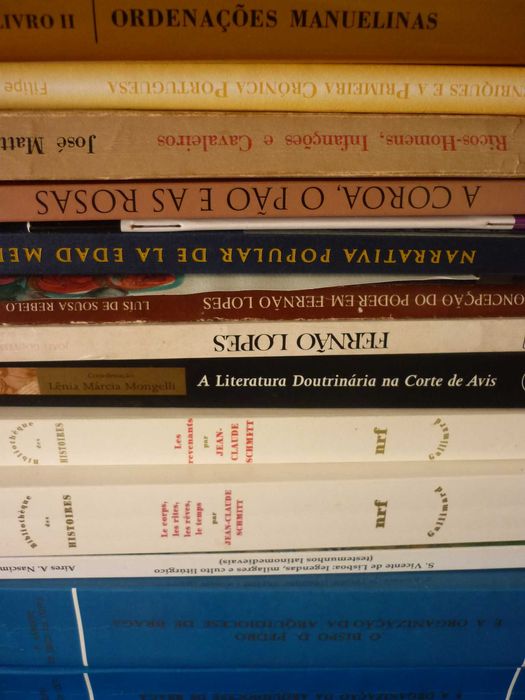 José Mattoso, Portugal medieval. Novas interpretações