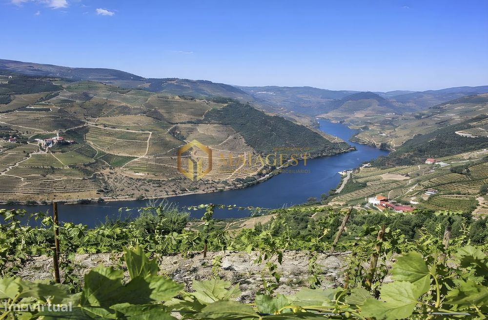 Encantadora Quinta com Vista Rio no Coração do Douro