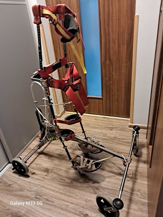 Nf-Walker pionizator dynamiczny