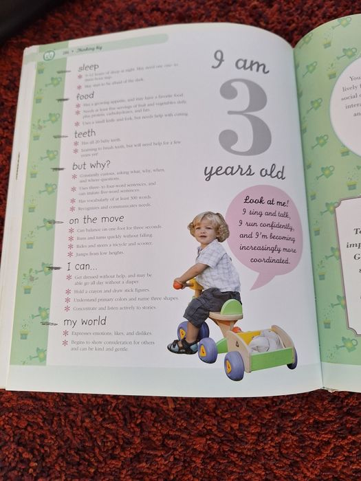 "The baby book", livro do bebé