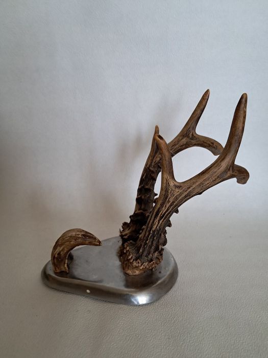 Рога козлика на подставке