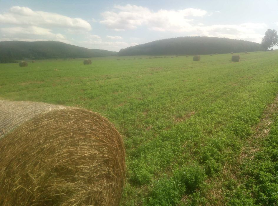 lucerna siano bale 120