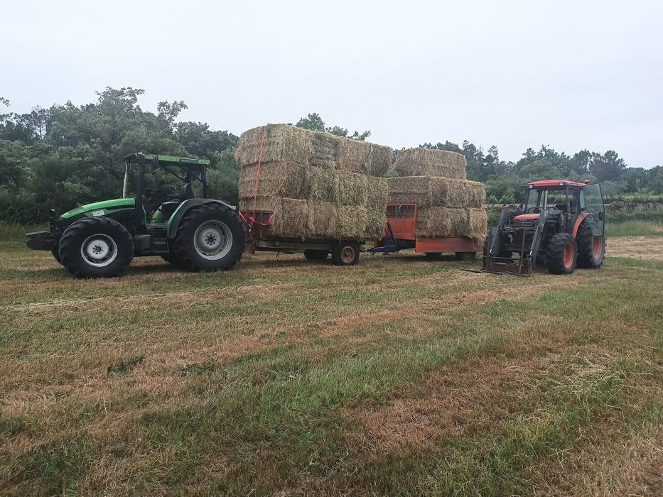 Feno, palha, silagem para venda