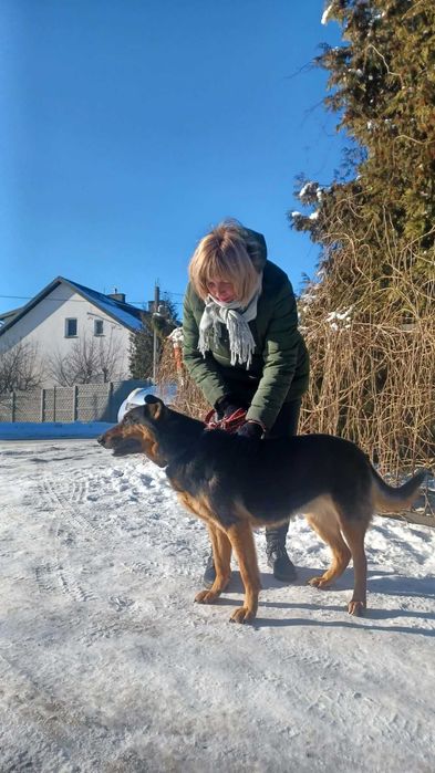 Pilnie potrzebny dom dla owczarka