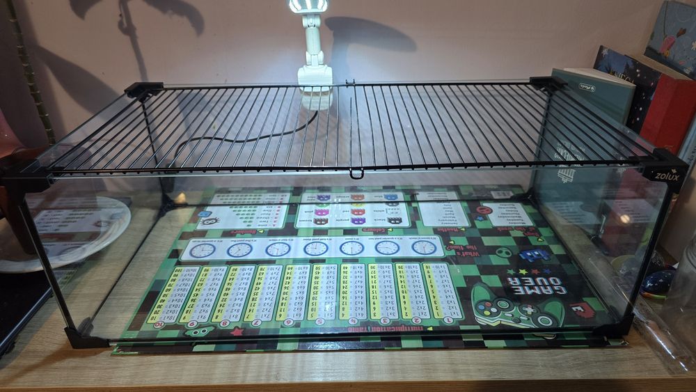 Akwarium terarium