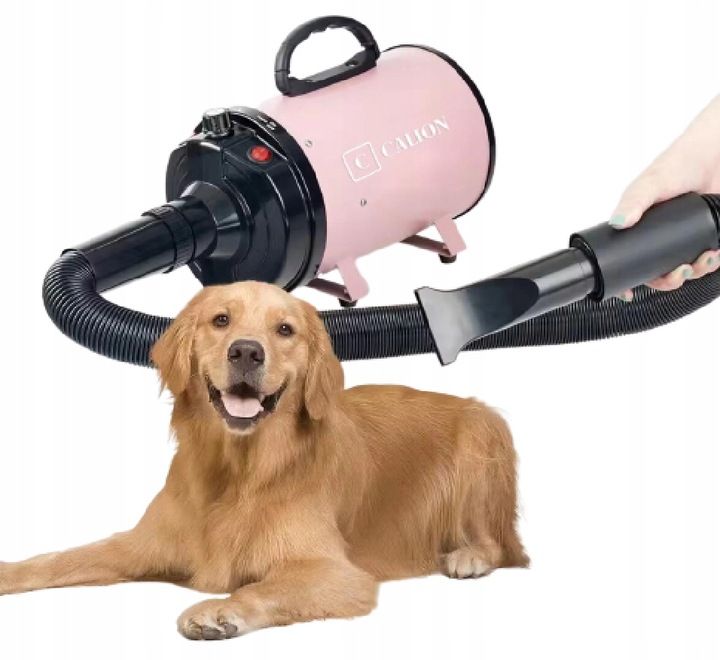 Suszarka Dla Psa I Kota Do Sierści Dmuchawa Mocna
