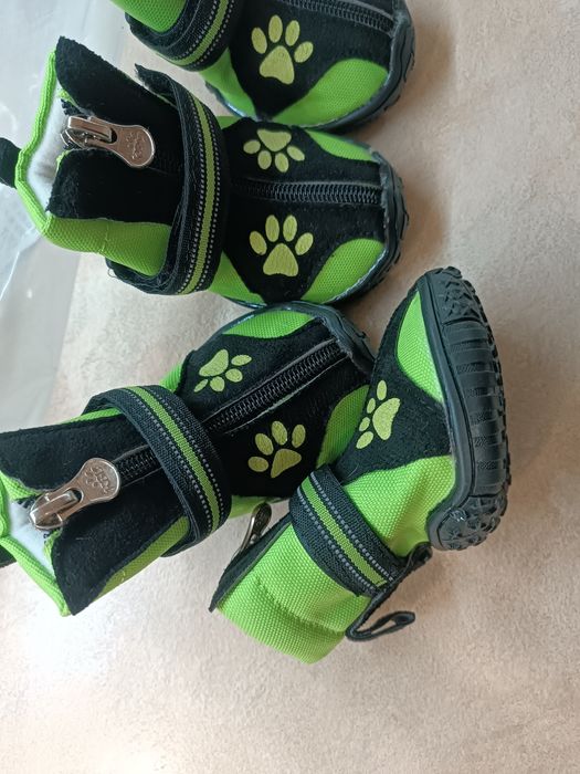 Обувь для собаки.