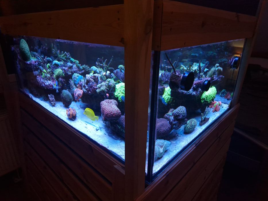 Lampa T5 Pacific Sun Diuna 14x54W, morskie, zamiana