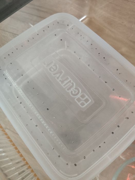 terrarium plastikowe dla węża, zbozowki