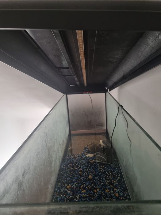 Aquario 240 litros com calha de LEDs