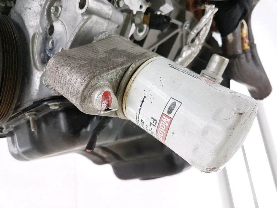 Motor FR3E FORD Mustang 5.0L 422 CV