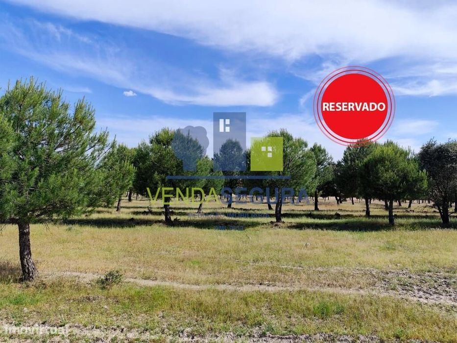 Terreno Rústico 11,425 Ha |Amareleja