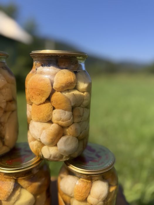 Продам білі мариновані гриби