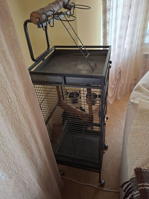 Клітка для великого попуги