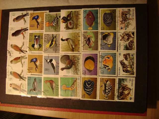 Znaczki pocztowe polskie kasowane Zestaw 667 sztuk+klaser A4/24 strony