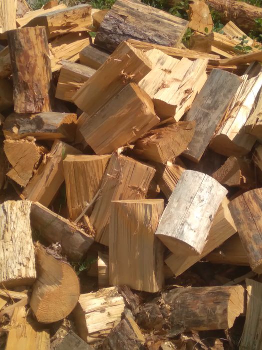 Drewno opałowe iglaste sosna świerk