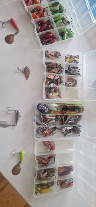 Wirujące ogonki, cykady