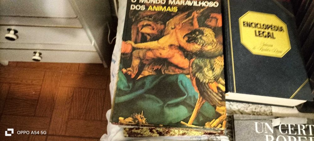 Diversos livros e enciclopédia