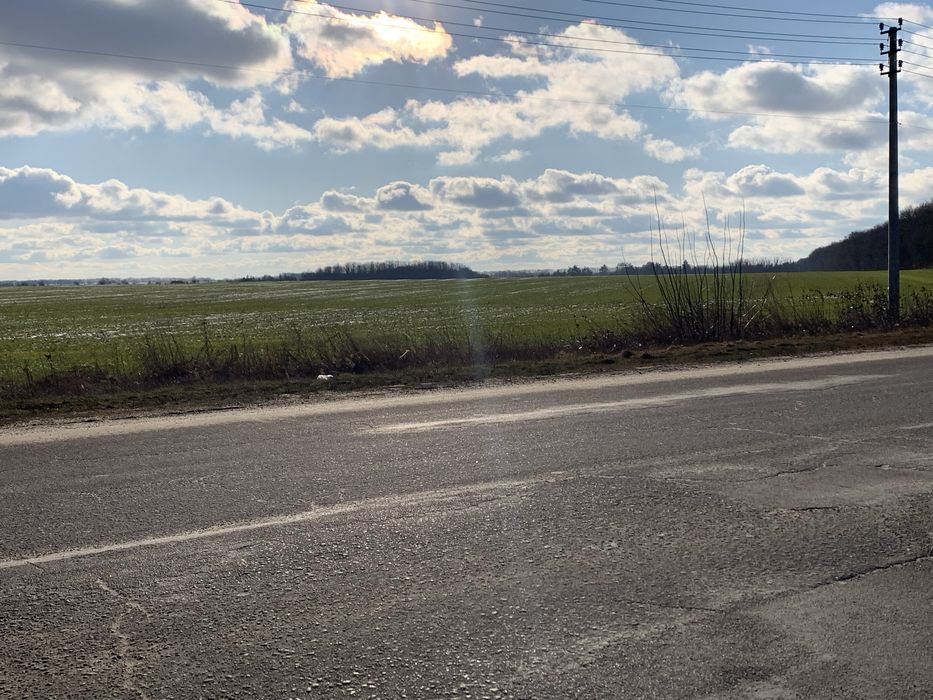 Фото ділянки