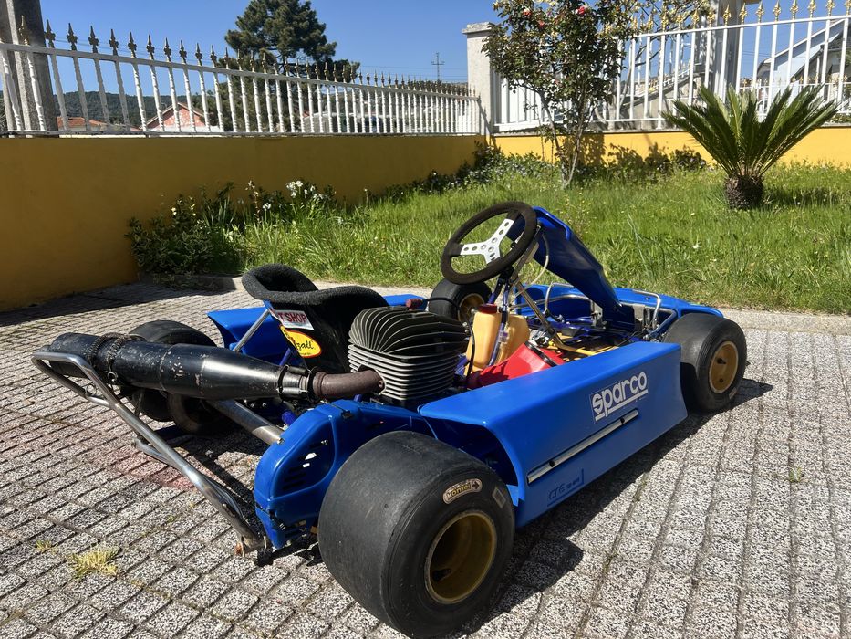 Karting competição IAME 100cc