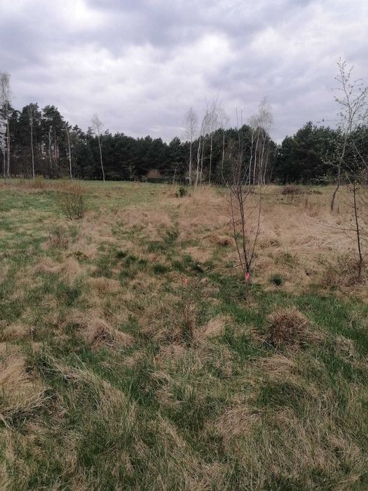 Działka budowlana m. Siodło 2959m2