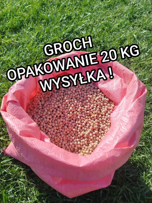 Groch dla ryb 20 kg  WYSYŁKA InPost