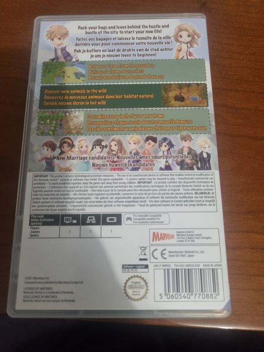 Nintendo switch story