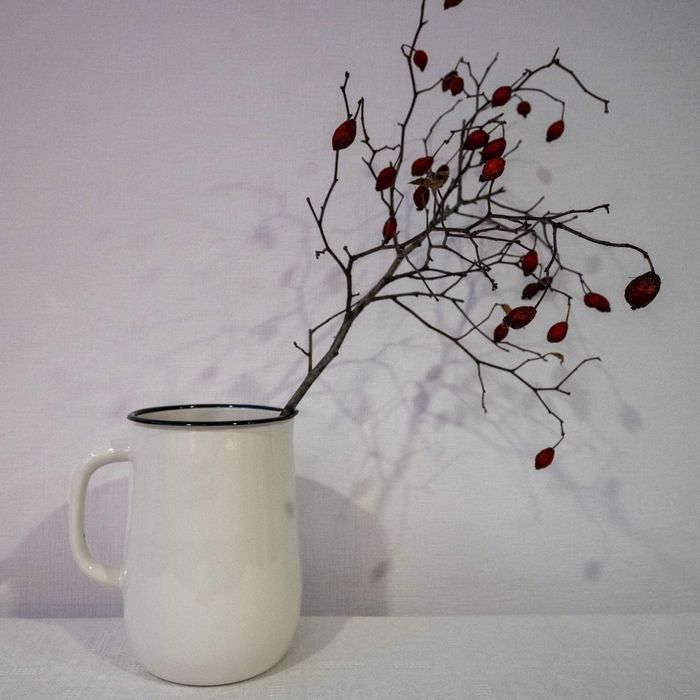 Емальований глечик 2,5 літри