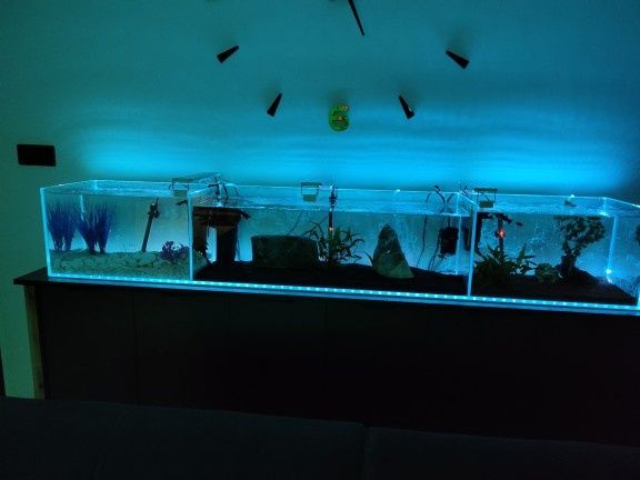 Sprzedam akwarium 190x32x30