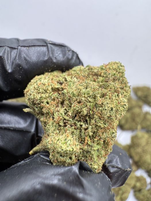 1kg susz CBD Blackberry/THC<0.3%