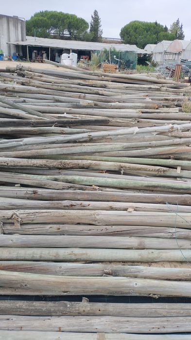 Postes tratados.               .